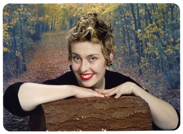 Nora Herting, "Fall Log"