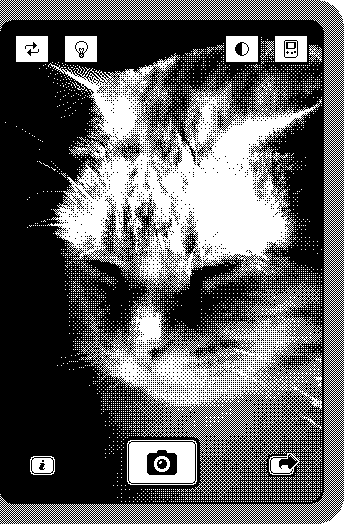Why do you need a 1-bit camera? To take pictures of your cats, of course. Image via http://lindecrantz.com/onebitcamera.