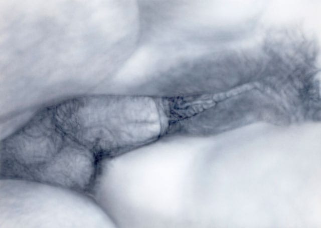 Betty Tompkins, "Fuck Painting #42"