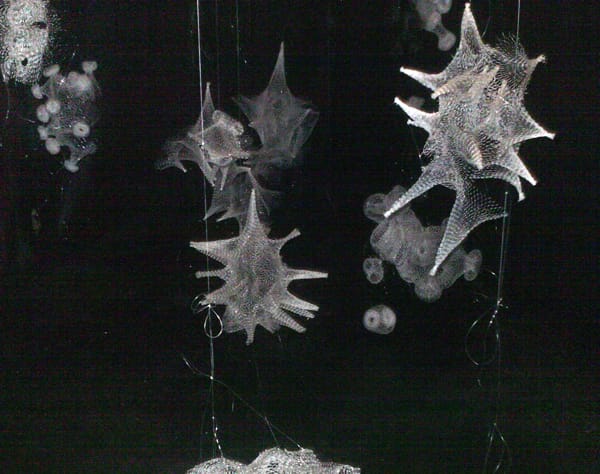 Caroline Cox, "Spin"