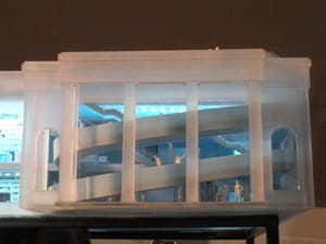 Close-up of the architectural model for the institute