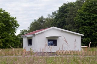 Joan Jonas, "Reanimation"