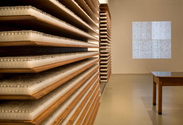 Alexander Tarakhovsky, "Epigenetic Reset"