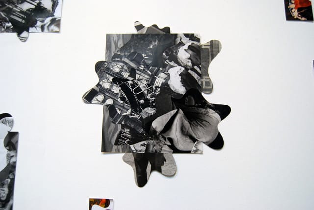 Tim Spelios, "Ameboid Installation"