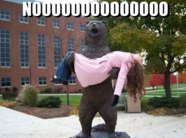 Physical and online interaction with a bear sculpture.