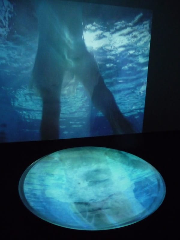 "Pool" by Fernanda D'Agostino and programmed by Jim Bell
