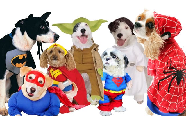 Could man's best friend be transformed into the super hero of our dreams?