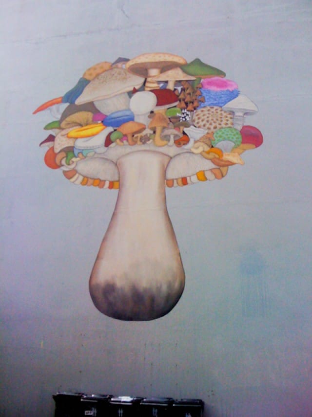 The biggest and trippiest magic mushroom graffiti.