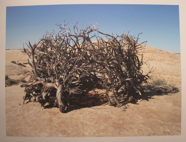 Katherine E. Bash, "A precipitous cliff, indeed"