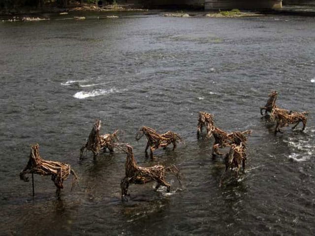 Richard Morse, "Stick-to-it-ive-ness: Unwavering pertinacity; perseverance" 