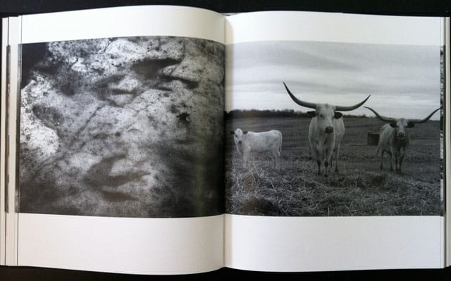 Two more of the last pictures