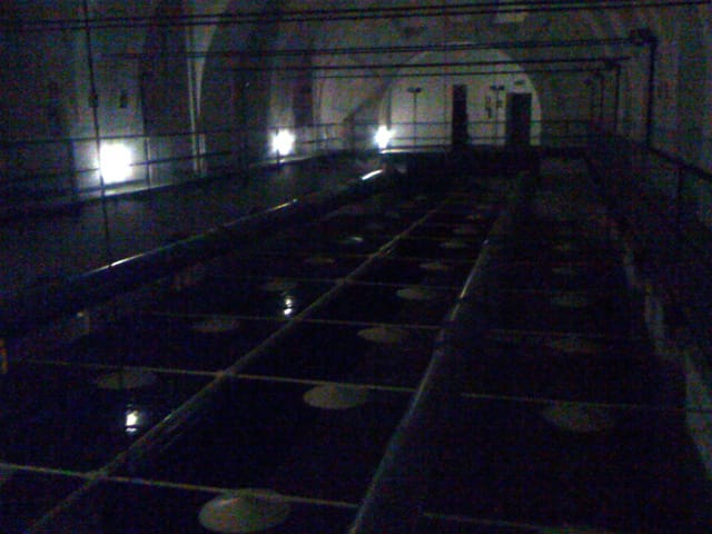 FREEZE (divided sensations) 2012 by Phillip Sollman installed in the National Archives 