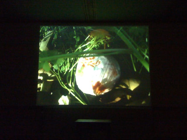 “For Gaza: The Land of Sad Oranges” 2010, Rania Stephan screened in the Museo Diffuso della Resistenza, della Deportazione, della Guerra, dei Diritti e della Libertà