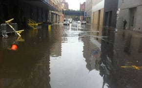 art-dealers-association-offers-relief-in-the-wake-of-sandy