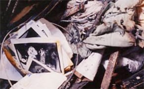 muffin-bernstein-after-sandy