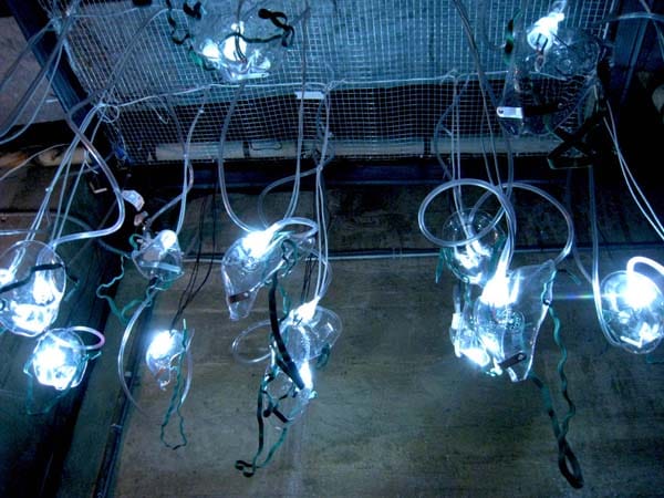 Hanging Oxygen Masks  from Dark Treasure" by Sol Aramendi (2012)
