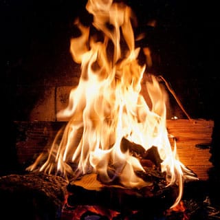 Burning books (image via Flickr/jronaldlee)