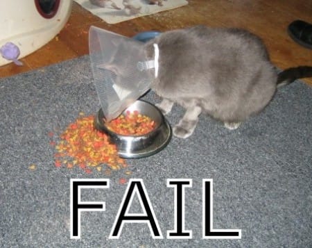 Image from lolcats.com