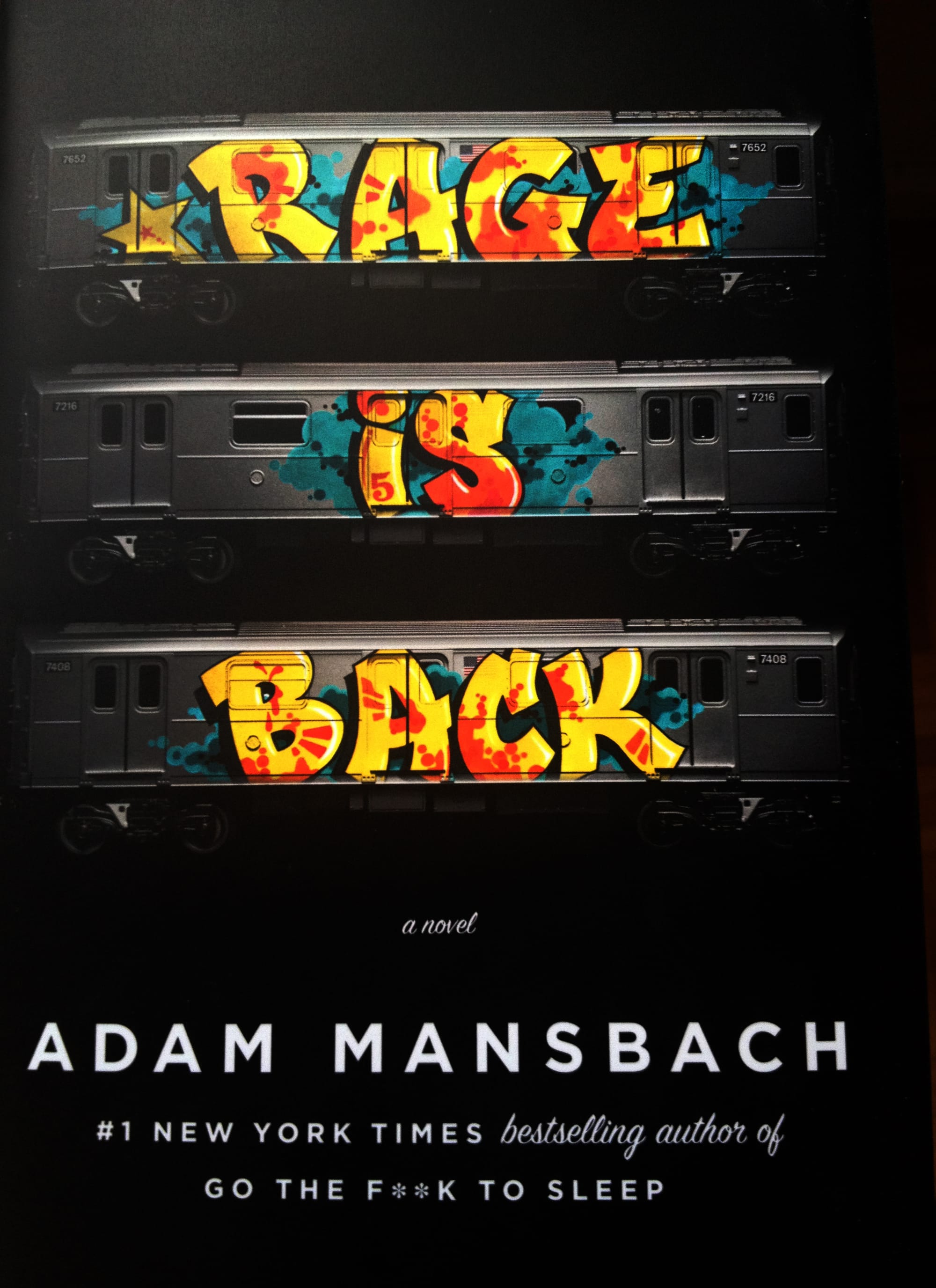 Adam Mansbach's graffiti novel "Rage is Back" (photo by author)
