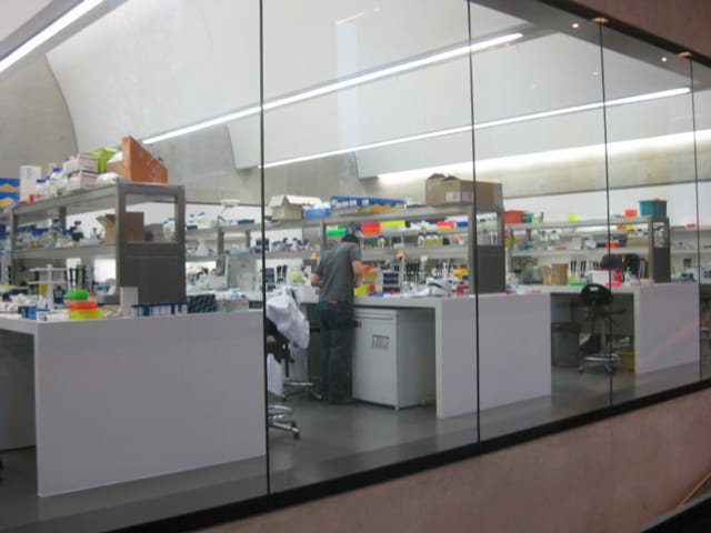 Scientists at work in the Sainsbury Laboratory