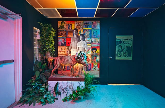 Installation view of "Pataphysics for Dummies"