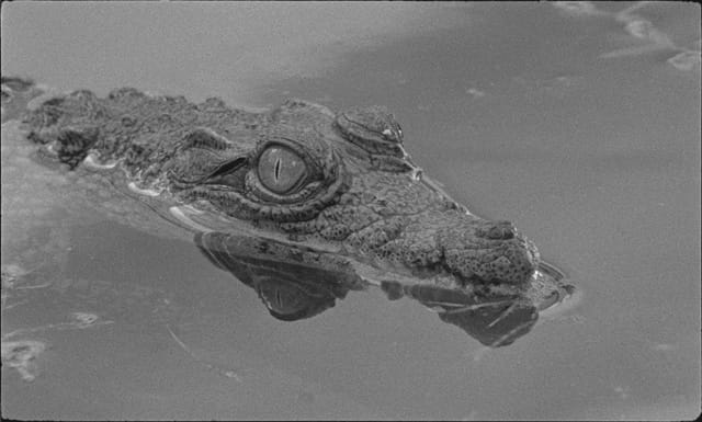 Another film still from "Tabu"