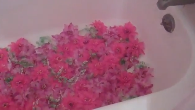 Image from Kate Durbin's "Tumblr Is the Only Place I Don't Pretend I'm OK"