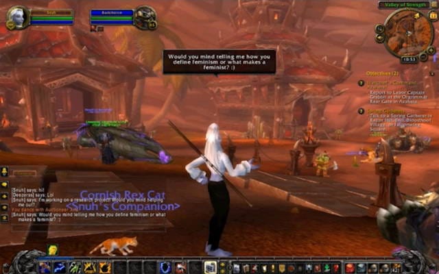 Screen shot of Angela Washko's "Chastity and The Council on Gender Sensitivity and Behavioral Awareness in World of Warcraft"