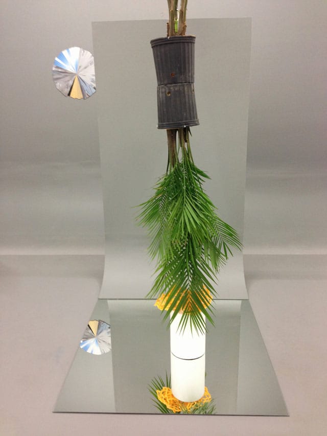 Corey Escoto, "Lagniappe" (2012) and "Set Piece: Houseplants Reflection" (2012)