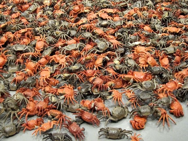 Ai Weiwei: According to What?