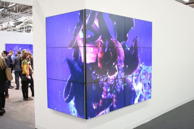 Diana Thater at David Zwirner's Armory Show booth (All photos by author)