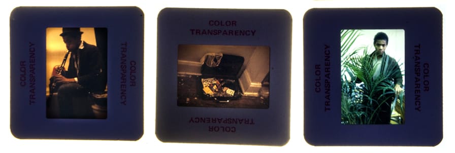 Photographs of Basquiat by ___ (Images via Animal New York)