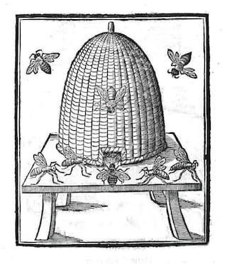 Woodcut of bees from "Insectorum sive Minimorum Animalium Theatrum" (1634) by Edward Wotton, Conrad Gesner and Thomas Penny. (Image via vintageprintable.com) 