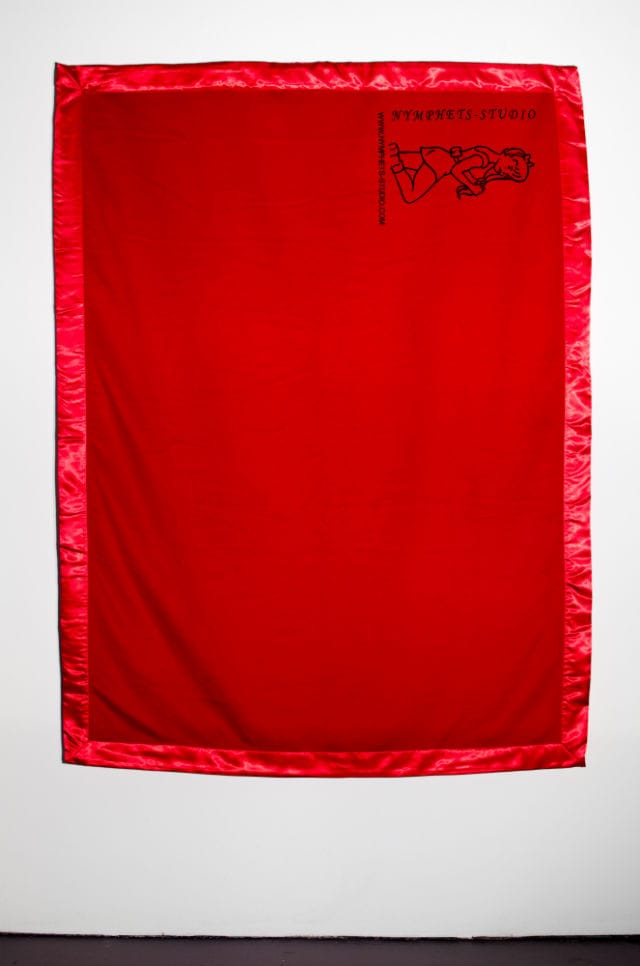 Blanket from "If I Die Young"