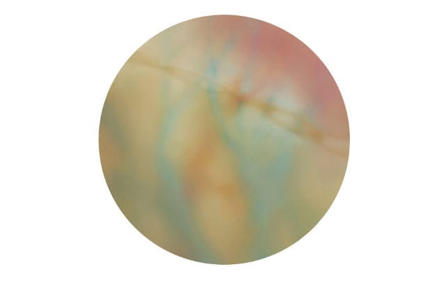 Gwen Hardie, "Body 09.13.09" (2009) 