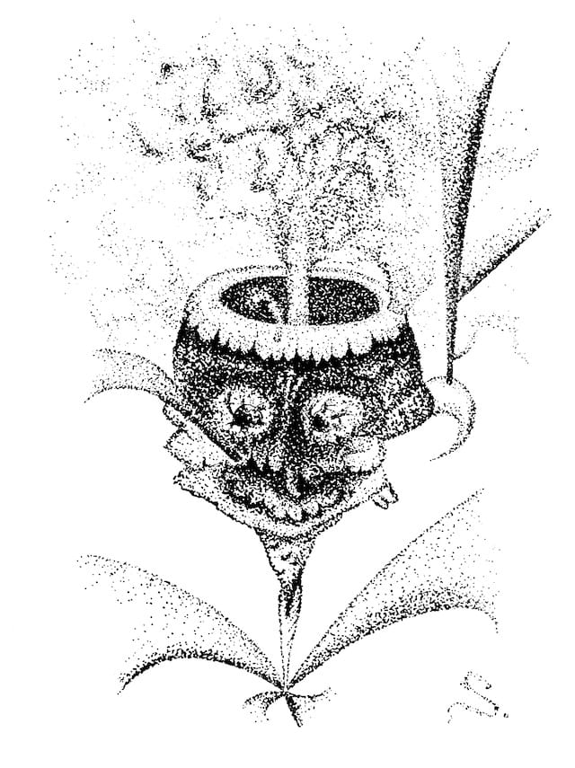 scheerbart drawings2