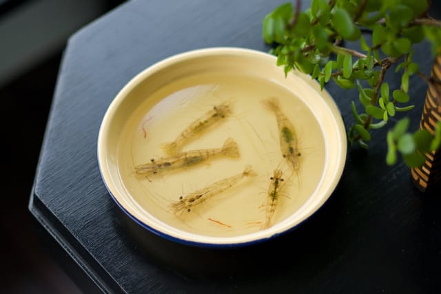 Keng Lye, "Alive Without Breath," acrylic on resin