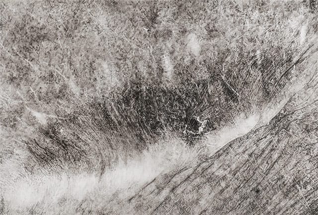 Cynthia Lin, "CropB32910W firescar" (2010), ink on mylar, 50 x 34 in (all images courtesy Garis & Hahn)