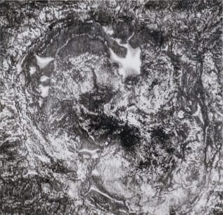 Cynthia Lin, "Crop5NBurn71409" (2010), ink on mylar, 38.7 x 40 in (click to enlarge)