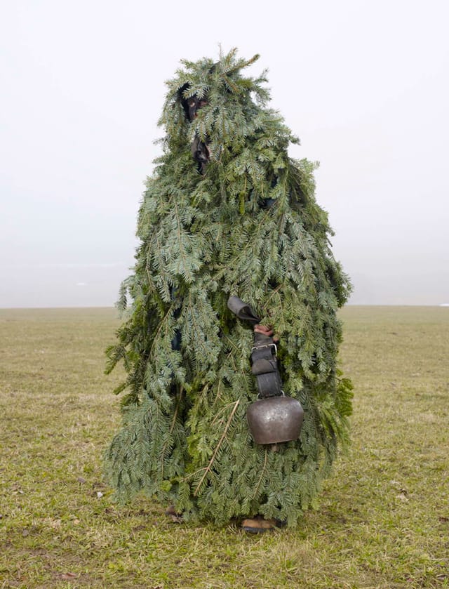 Charles Fréger, "Wilder Mann" (2010-11) (image via NSMBL) http://www.nsmbl.com/charles-fregers-search-for-the-wild-man/