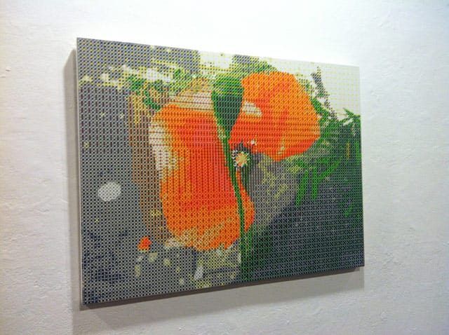 Gabriel Orozco, "Broken Red Flower" (2011)