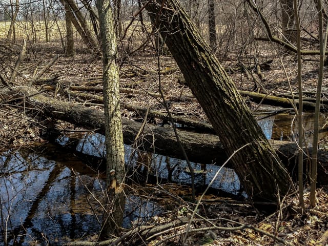 Photo Apr 27, 1 42 22 PM