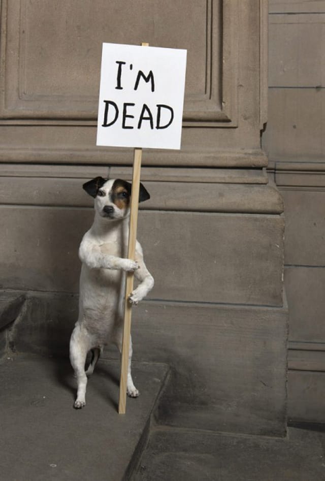 David Shrigley, "I’m Dead" (2010) (courtesy Collection Hamilton Corporate Finance Limited, Kelvingrove Art Gallery and Museum)