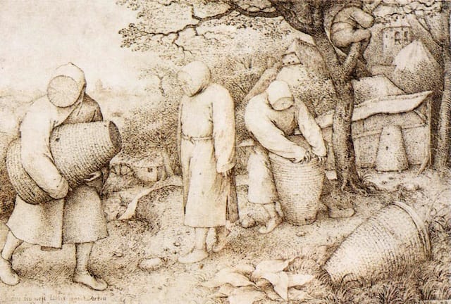 Pieter Bruegel the Elder, "The Beekeepers and the Birdnester" (c. 1568). Pen and India ink, 203 x 309 mm. Staatliche Museen, Berlin. (Image via the Web Gallery of Art) 