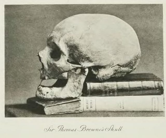 Thomas Browne's skull