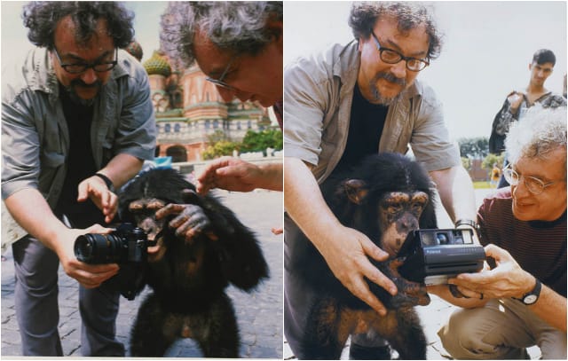 Chimpanzee Photographer