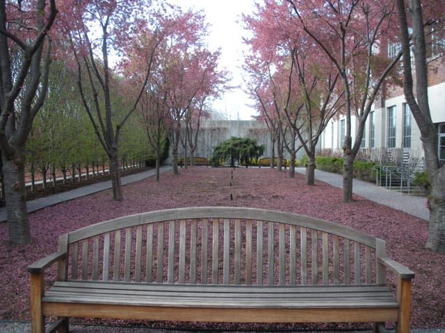 The West Garden at Dia:Beacon (all photos by the author for Hyperallergic)