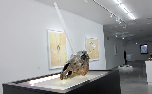 Tatyana Murray's "In the Woods" exhibition at BOSI Contemporary