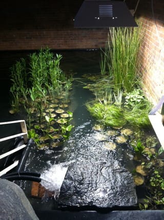 Meg Webster's "Pool" was originally commissioned for this PS1 space in 1998 by then director Alanna Heiss. It's on view once again in "Expo 1." (click to enlarge)