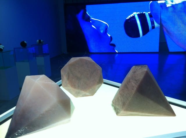 An installation view of the "ProBio" show, with Dina Chang's "Flesh Diamonds" (2013) in the foreground and a video by Shanzhai Biennial in the background
